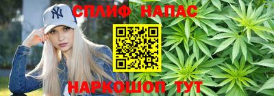 мдпв Пугачёв
