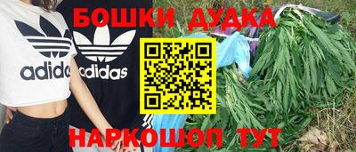 мдпв Пугачёв