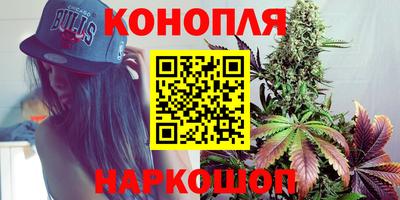 мдпв Пугачёв