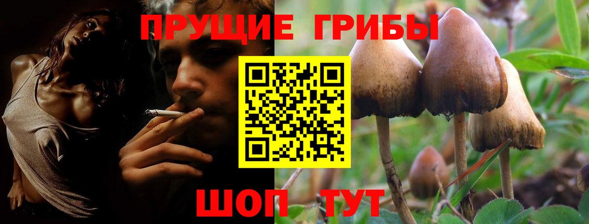 Реж  Галлюциногенные грибы Cubensis  Псилоцибиновые грибы мицелий  продажа наркотиков  Вход с VPN 
